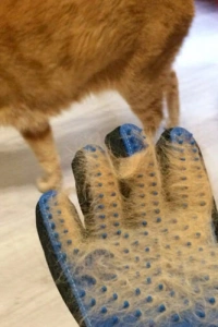 Tüy Toplama Eldiveni