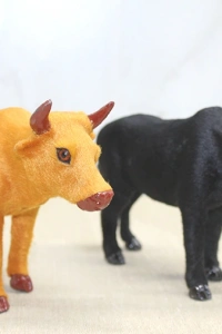 Tüylü Boğa Biblosu