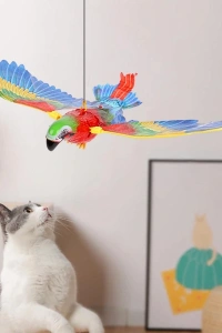Uçan Papağan Kedi Oyuncağı