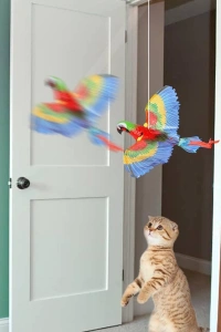 Uçan Papağan Kedi Oyuncağı