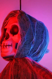 Ürpertici Kuru Kafa Hayalet Saçaklı Dekor