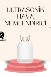 USB Şarjlı Mini USB Nemlendirici LED Işıklı Masaüstü Cihaz