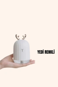 USB Şarjlı Mini USB Nemlendirici LED Işıklı Masaüstü Cihaz