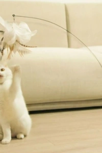 Vantuzlu Tüylü Zilli Kedi Oyun Oltası