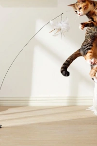 Vantuzlu Tüylü Zilli Kedi Oyun Oltası