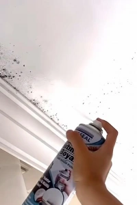 Vodaseal Anti Küf Yalıtım Boyası Sprey 500 ml