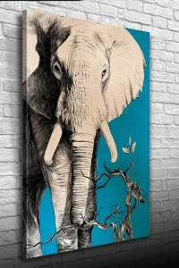 Yalnız Fil Kanvas Tablo 50 x 70