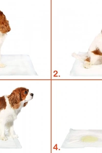 Yıkanabilir Köpek Çiş Pedi - 100 X 100 Cm 5li Paket