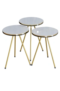 Zigon Sehpa Gümüş Efes Tel