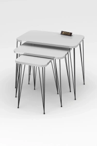 Zigon Sehpa Kr Gümüş Beyaz Tel Siyah Ayak