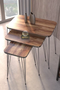 Zigon Sehpa Kr Gümüş Ceviz Tel