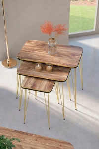 Zigon Sehpa Kr Ve Orta Sehpa Kr Set Çift Gold Ceviz Tel 1110