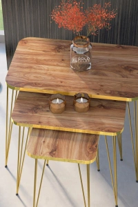 Zigon Sehpa Kr Ve Orta Sehpa Kr Set Gold Ceviz Tel 1108