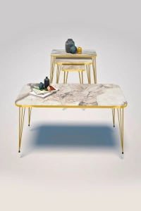 Zigon Sehpa Kr Ve Orta Sehpa Kr Set Gold Efes Tel 1106