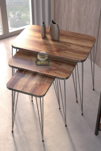 Zigon Sehpa Kr Ve Orta Sehpa Kr Set Gümüş Ceviz Tel