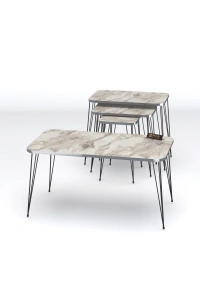 Zigon Sehpa Kr Ve Orta Sehpa Kr Set Gümüş Efes Tel Ayak Siyah