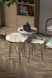 Zigon Sehpa Ve Orta Sehpa Elips Set Siyah Tel Ayak Gümüş Efes