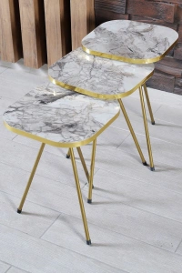 Zigon Sehpa Ve Orta Sehpa Kombin Set Altın Efes 3101