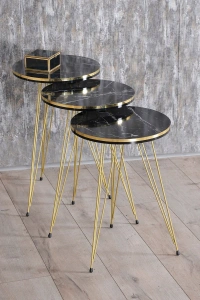 Zigon Sehpa ve Orta Sehpa Kr Set Çift Gold Bendir Tel