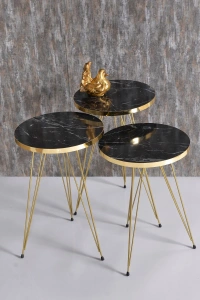 Zigon Sehpa Ve Orta Sehpa Kr Set Gold Bendir Tel