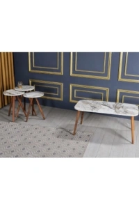 Zigon Sehpa ve Orta Sehpa Kr Torna Efes Set