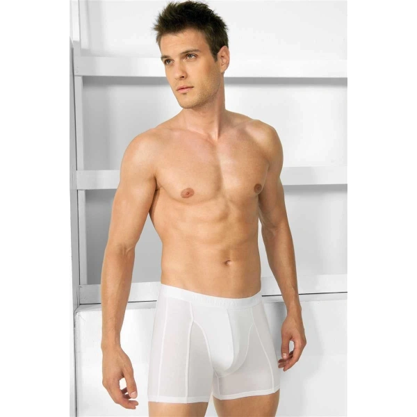 Erkek Modal Klasik Boxer