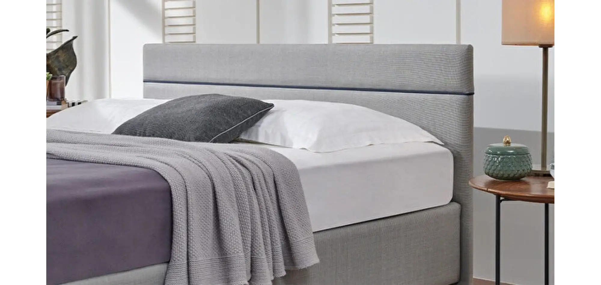 Lipa Başlık 100 lük