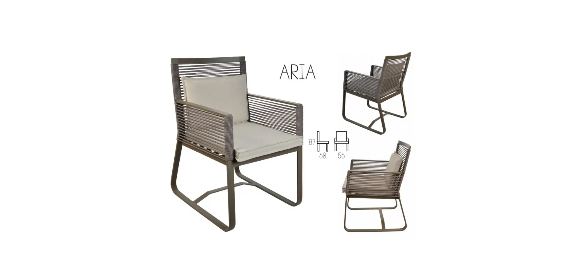 Arıa