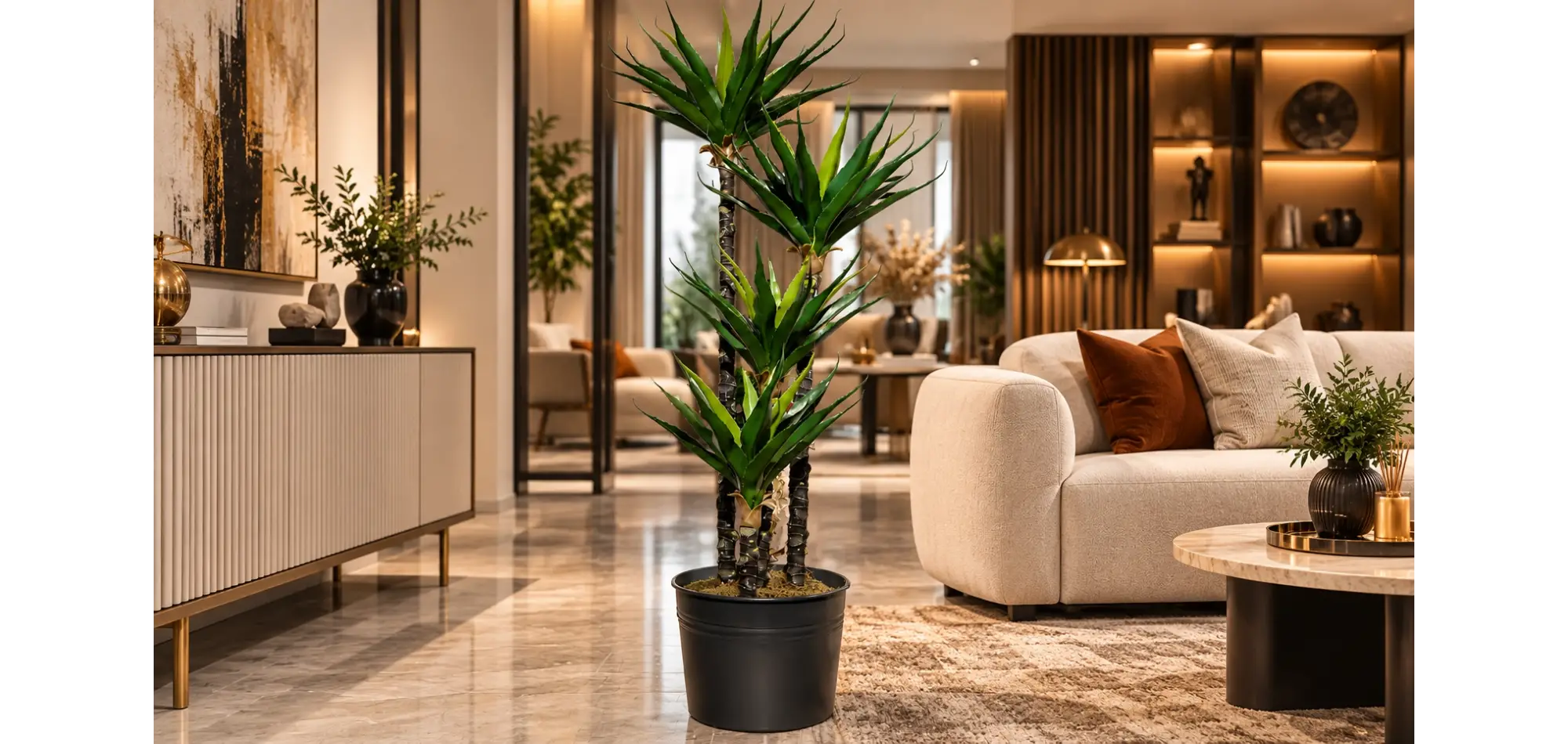 Yucca Ağacı Dört Köklü