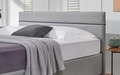 Lipa Başlık 100 lük