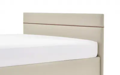 Lipa Başlık 100 lük