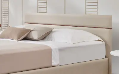 Lipa Başlık 100 lük