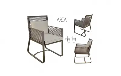 Arıa