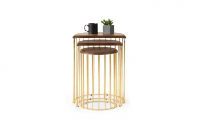 TH-Nova Zigon Gold