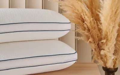 Viscomfort Tombul Yastık
