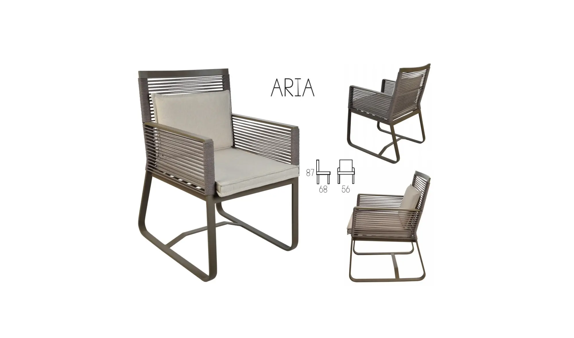 Arıa