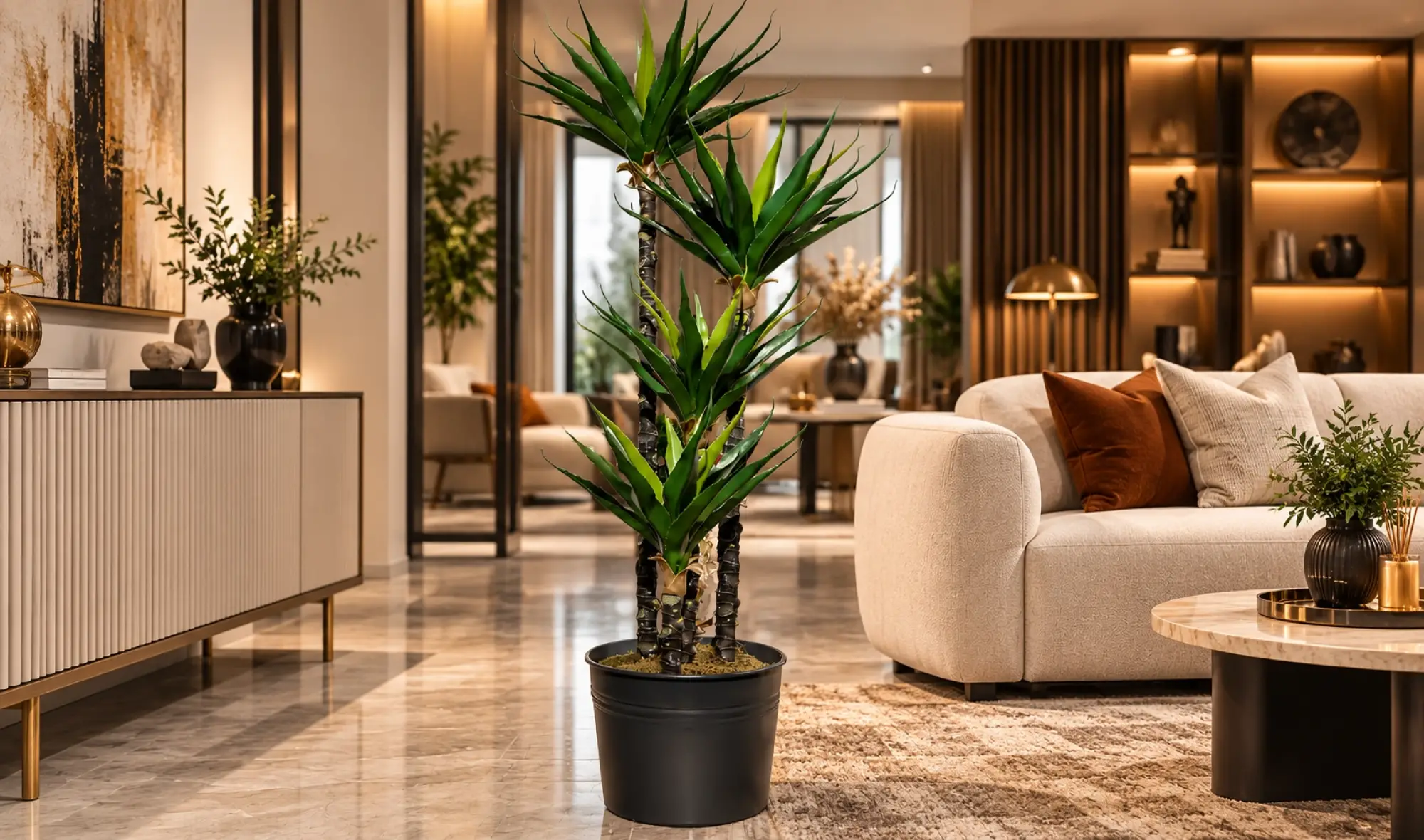 Yucca Ağacı Dört Köklü