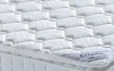 Ergo Daphne Paket Yaylı Yatak