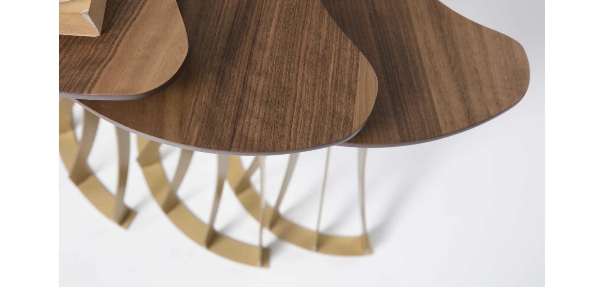 TH-Carmen Zigon Pirinç