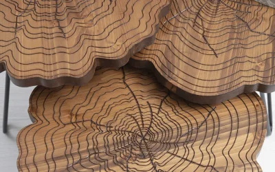 TH-Kütük Zigon Ceviz