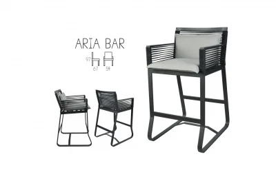 Arıa Bar