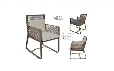 Arıa