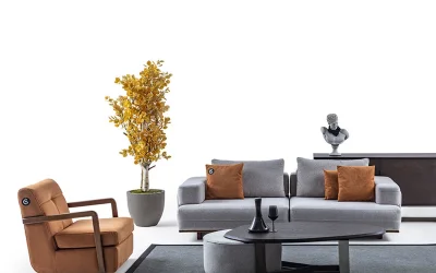 Capitan Koltuk Takımı