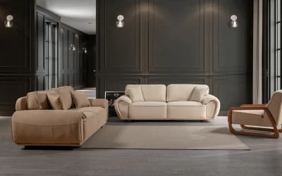 Neutron Koltuk Takımı