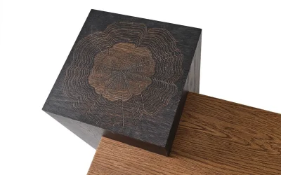 TH-Pablo Ceviz Orta Sehpa