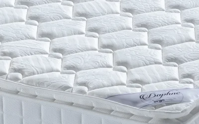 Ergo Daphne Paket Yaylı Yatak