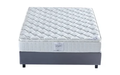 Ergo Daphne Paket Yaylı Yatak
