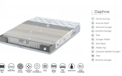 Ergo Daphne Paket Yaylı Yatak