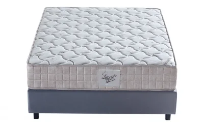 Ergo Organıc Cotton Paket Yaylı Yatak