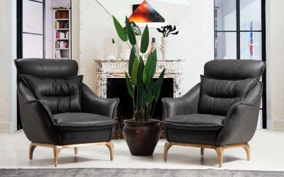 Olivya Koltuk Takımı